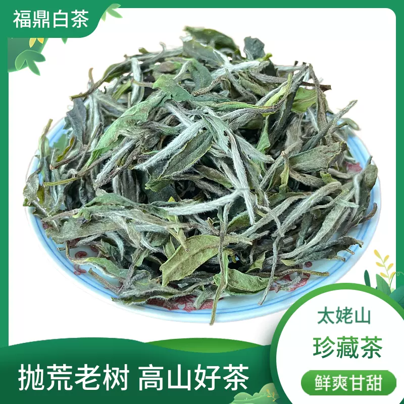 福鼎白茶白牡丹太姥山明前荒野日曬蘭花香散茶葉春茶新茶送禮盒裝