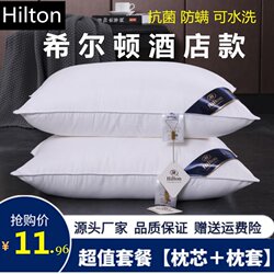 A Pair of Five-Star Hotel Soft Pillows with Pillowcases