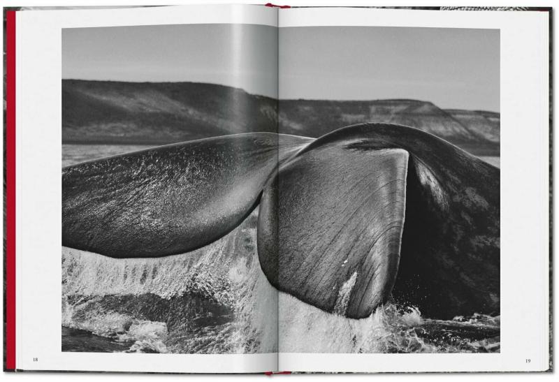 Sebastiao Salgado Genesis - Taschen Photography Album