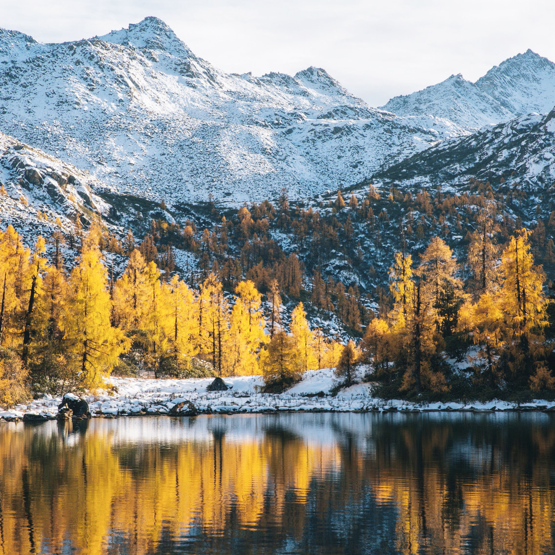 甘孜环线2-8人小团成都到冷嘎措四姑娘山墨石公园鱼子西纯玩3日旅