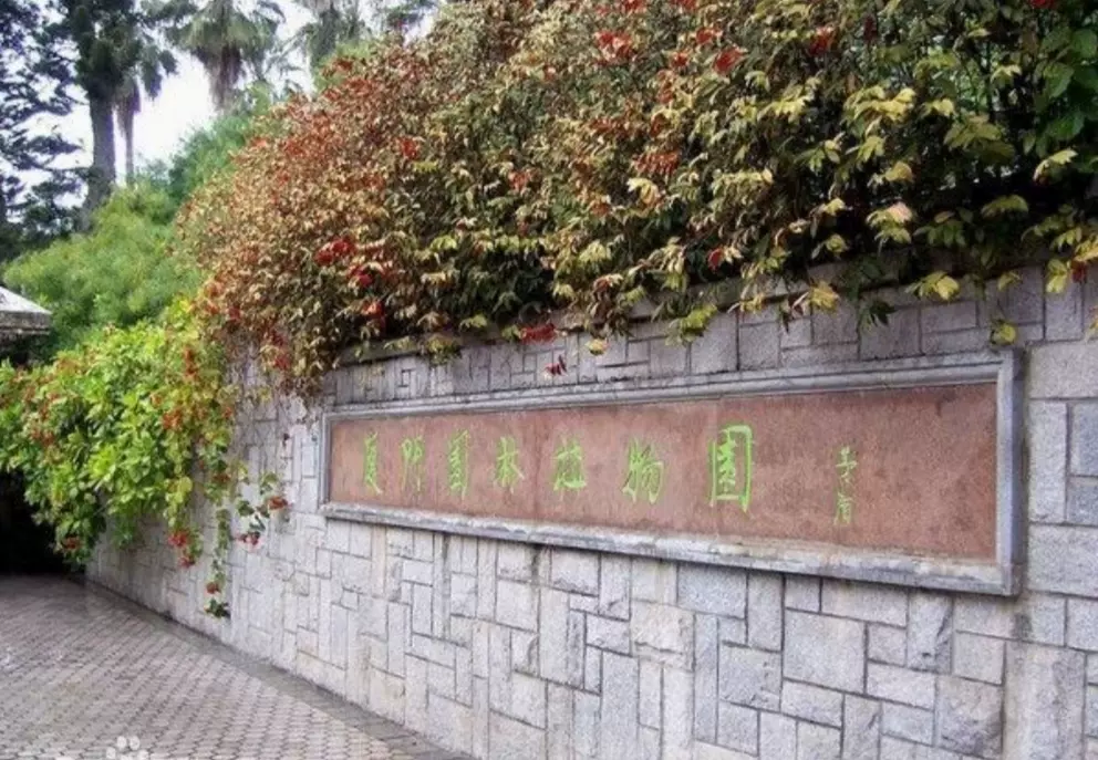 厦门大学植物园图片