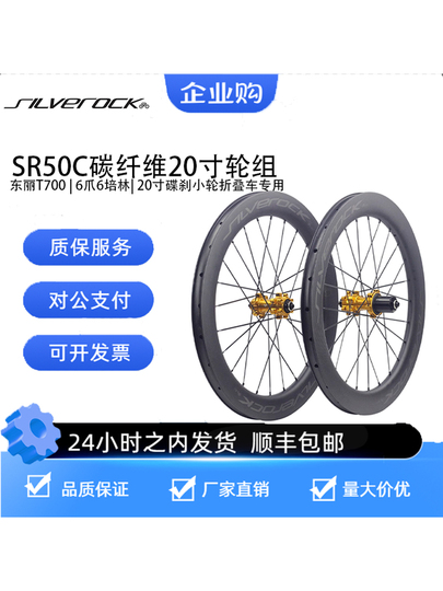 Silverock Carbon Fiber 451 Wheel Set - 20 inch Disc Brake