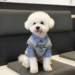 Puppy Clothes Fake Two-Piece Color-Blocked Polo Shirt Pet Autumn and Winter Schnauzer Bichon Teddy Small and Medium-Sized Dog Two-Legged Clothing