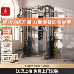 Head Hyde Gantry Bench Press Squat Rack Multi-Functional Machine Fly Bird Smith Comprehensive Training Gym Equipment