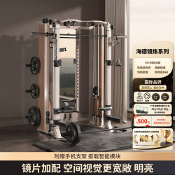 Head Hyde Mirror Light Luxury Commercial Smith Machine Bench Press Squat Rack Bird Machine Comprehensive Training Equipment