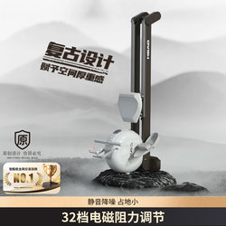 Head Rowing Machine Home Fitness Equipment Small Smart Exercise Magnetic Resistance Cardio Back Pull Dual Track Indoor Rowing