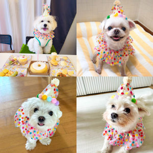 
Pet polka dot lace bib birthday supplies for cats and dogs Korean style colorful polka dot collar ins headwear 2