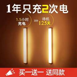 Rechargeable Led Motion Sensor Light Strip, Self-Adhesive Wireless Cabinet Light, No Wiring Required, Shoe Cabinet, Wardrobe, Kitchen, Wine Cabinet Light Strip