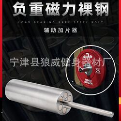 Fitness Equipment Auxiliary Weight Plate Adder, Weight Plate Insertion Pin, Gantry Rack External Barbell Plate Weight Increase Auxiliary Weight Plate Adder