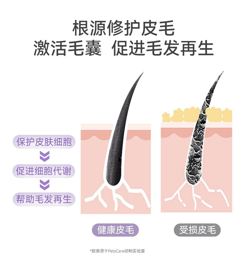 Dogs and cats fish oil lecithin supplement nutrition antihair loss cat and dog nutrition skin