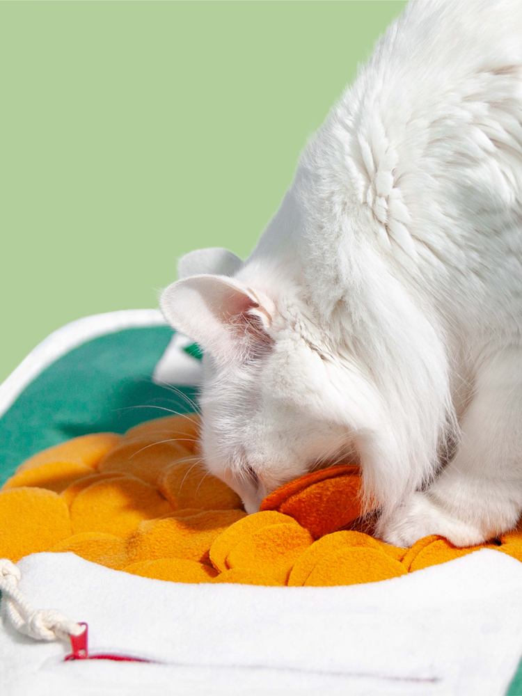 POOZPET猫狗通用嗅闻垫益智训练毯