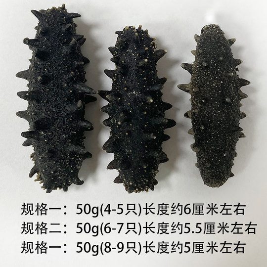 乾燥海参、大連特産 海参 47g 乾燥海参、大連特産 海参 47g 海産物 乾燥ナマコ47g入り - メルカリ