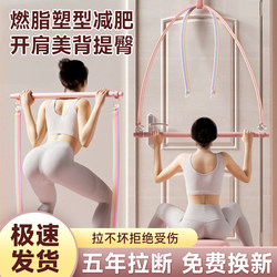High Pull-Down Trainer Resistance Band Home Back Training Tool Elastic Band Strength Fitness Equipment Exercise Yoga for Women