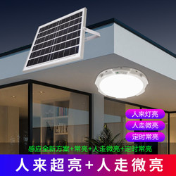 Solar Induction Ceiling Light Balcony Aisle Doorway Super Bright Lighting Home Indoor and Outdoor Lighting Induction Light