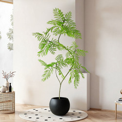 Artificial Plant Large Indoor Light Luxury Green Plant Floor-Standing Decorative Flower Potted Plant Living Room Tree Bionic Ornament Fake Jacaranda