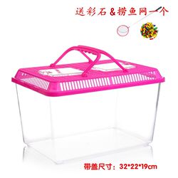 Large and medium size portable pet feeding box transparent plastic