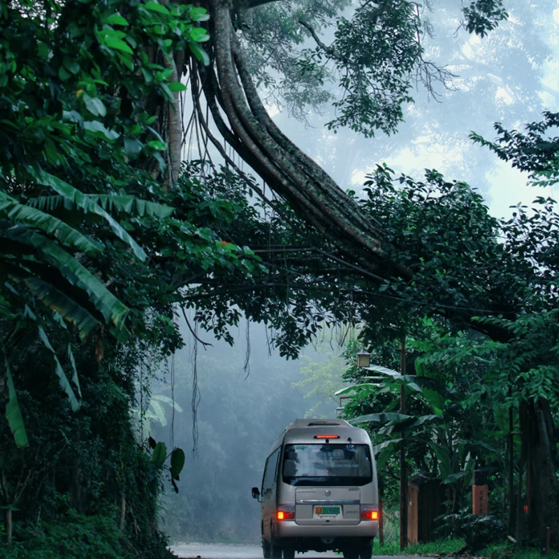 bikego云南 景迈山3天2晚 世遗传承茶山漫游2-10人小团纯玩旅游