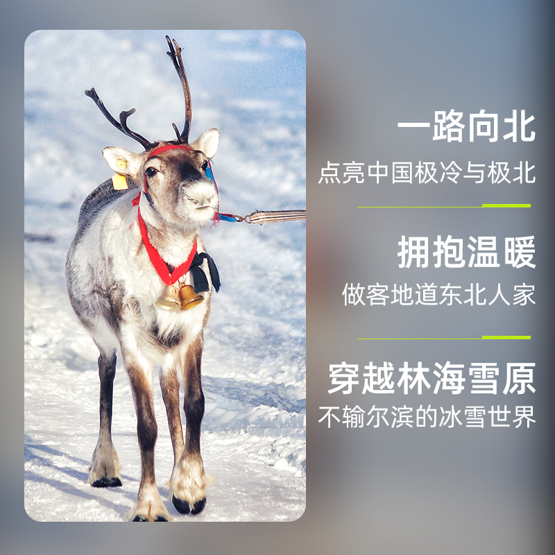 bikego·呼伦贝尔漠河7天6晚 6人纯玩小团24H接机 海拉尔出发