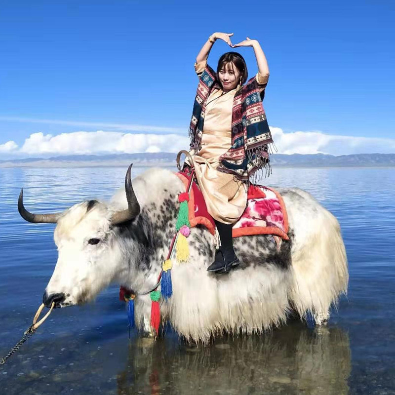 青海湖二日游青海旅游2天1晚西宁青海湖茶卡盐湖拼车二日游纯玩