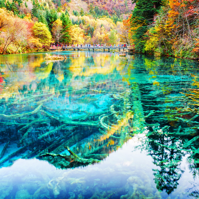 成都到九寨沟黄龙旅游高铁往返2H直达3天2晚头等舱大巴团8人小团