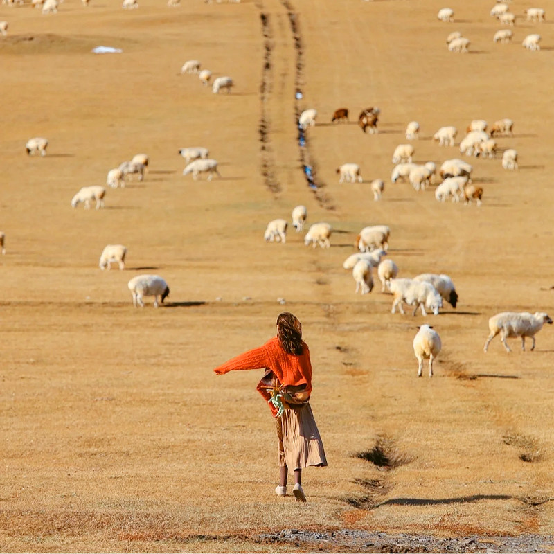 【私家团】成都出发稻城亚丁旅游5天4晚川西环线墨石公园-1单1团
