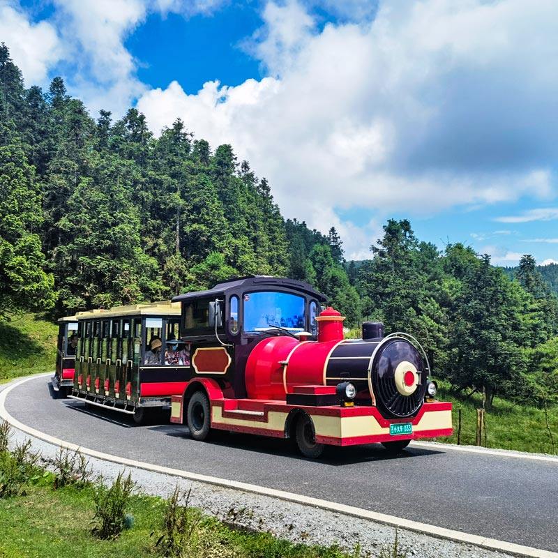 重庆武隆一日游纯玩天坑地缝仙女山乌江画廊周边跟团游小包团旅游