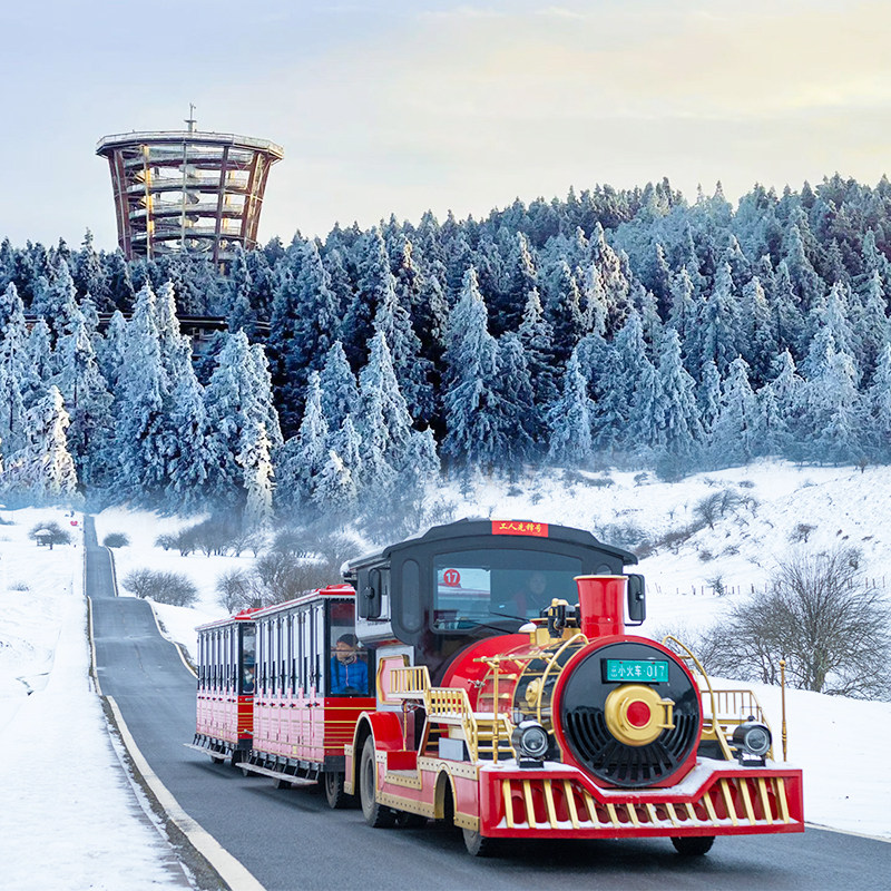【冰雪仙女山】重庆武隆仙女山滑雪一日游玩雪真纯玩可选树顶漫步