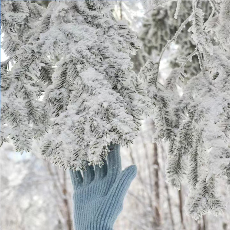 【纯玩含机票】东北长白山旅游哈尔滨雪乡镜泊湖温泉6天5晚跟团游