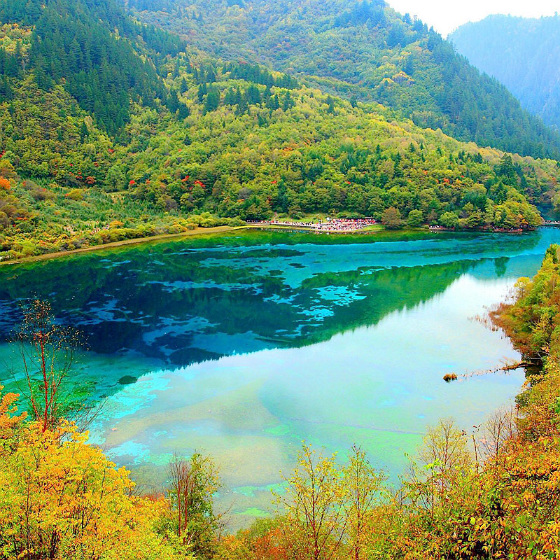 8人纯玩小团 含机票四川九寨沟旅游动车进出九寨黄龙5天4晚跟团游