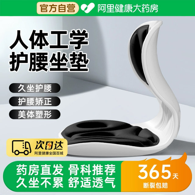 Ergonomic waist cushion, waist backrest, seat, office workstation, sedentary waist support cushion integrated