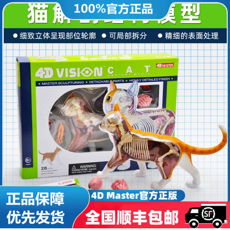 4D MASTER 猫の解剖模型 約25cm 4D MASTER 猫の解剖模型 約25cm アオシマ 4D VISION 動物解剖モデル 猫解剖