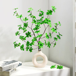 Artificial Flowers, Faux Flowers, Decorative Plants, Horsewood, Hanging Clock, Artificial Green Plants, Living Room, Tv Cabinet, Dining Table Decorations, Home Decor