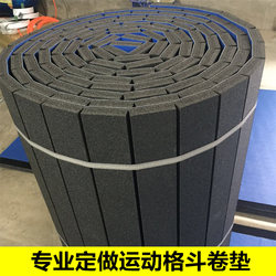 Sanda Fighting Roll Mat, Dance Wrestling, Jiu-Jitsu, Taekwondo Mat, Martial Arts Fighting, Judo Professional Sports Roll Mat