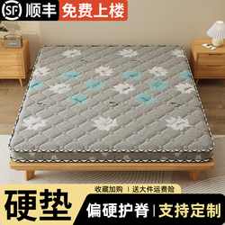 Natural Pure Coconut Palm Mattress, Hard Pad, 10cm Thick, Spine-Protecting, Firm Mattress, Home Bedroom, Waist-Protecting, Eco-Friendly, Thin Mattress