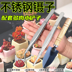Succulent Gardening Tool Set Stainless Steel Tweezers Small Gardening Shovel Soil Shoveling Three-Piece Set Flower Planting Clip Watering Can