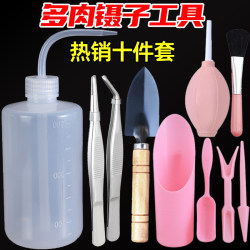 Succulent Tool Set Stainless Steel Planting Curved Spout Watering Can Air Blower Brush Shovel Bucket Seedling Lifter Gardening Flower Cultivation