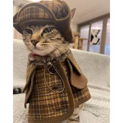Autumn and winter fresh British retro pet clothing Sphynx hairless cat German clothes fashionable