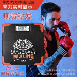 Boxing Training Sandbag, Smart Boxing Target, Boxing Force Tester, Hanging Portable Force Meter