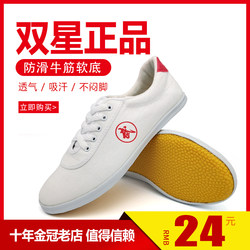 Double Star Martial Arts Shoes for Men, Tai Chi Shoes for Women, Canvas Tendon-Soled Practice Shoes, Children's Martial Arts Training Performance Shoes, Sports Shoes