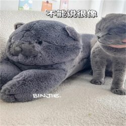 Nordic Blue Cat Long Pillow Cushion for Girls Sleeping Spring and Autumn Style Leg Pillow Sofa Living Room Pillow Bedside Cushion