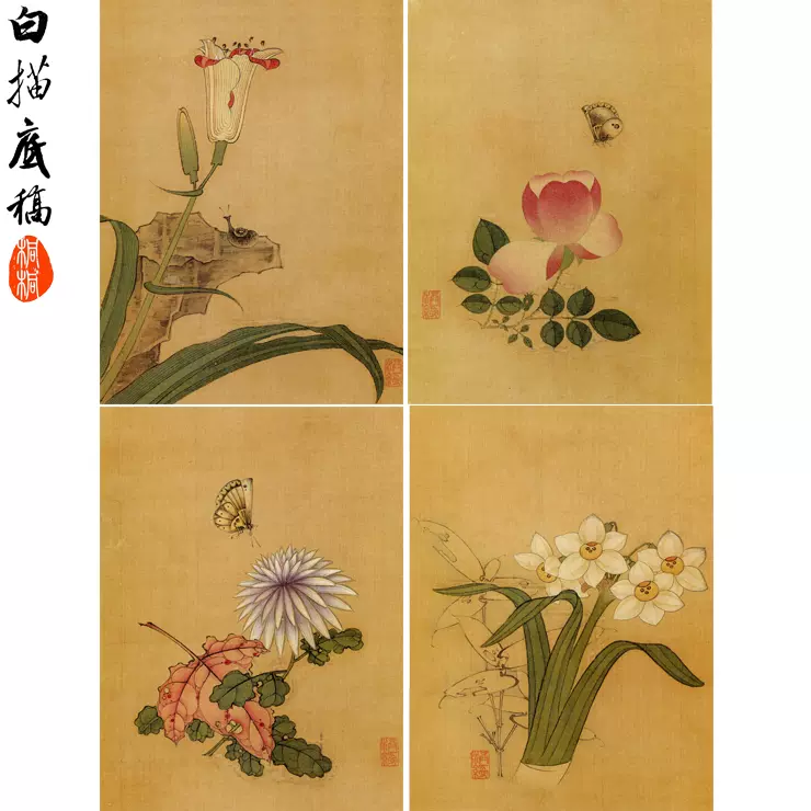 中國  手書花鳥 Z59工笔画白描底稿明清花鸟陈洪绶精花鸟草虫图册4幅