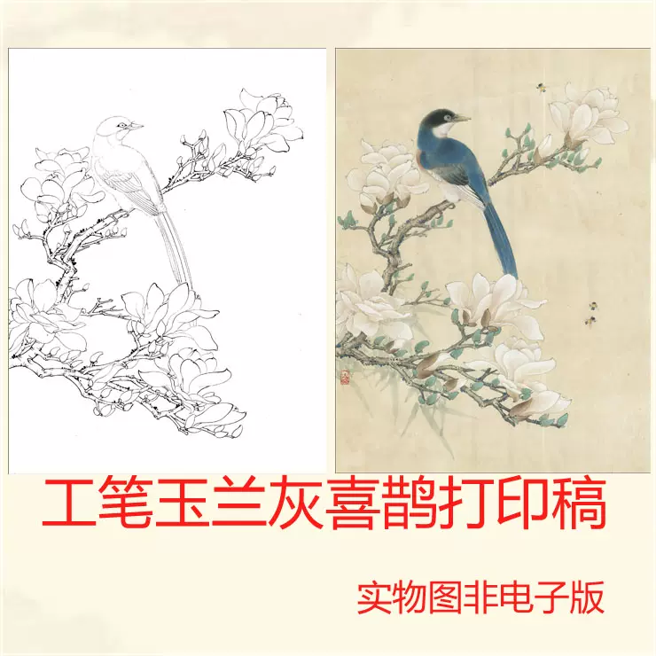 A084工筆國畫花鳥玉蘭喜鵲工筆畫白描底稿臨摹勾線實物高清打印稿-Taobao