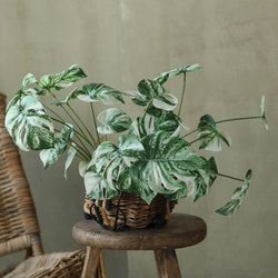 8 Artificial Monstera Plants with White Edges, Tropical Faux Greenery, Living Room Decoration, High-End and Realistic