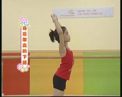 Children's Artistic Gymnastics Body Training for Beginners Dvd Video
