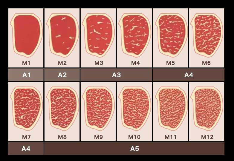 优质营养肉中王，牛排攻略已做好(图13)