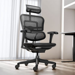 Ergonor Jinhao b2 generation ergonomic chair computer chair office chair reclining gaming e-sports chair