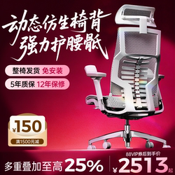Ergonor Pofit 2Nd Generation Smart High-End Computer Chair Ergonomic Chair Office Chair Gaming Chair