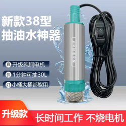 Small Oil Pump 12V 24V 220V Diesel Water Pump Electric Magic Device Fuel Dispenser Type 38 Vehicle-Mounted Wine Pump
