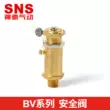 Van an toàn dụng cụ khí nén SNS Shenchi Van giảm áp tác động trực tiếp dòng BV hoàn toàn bằng đồng máy dò kim loại dưới nước