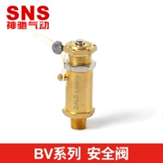 Van an toàn dụng cụ khí nén SNS Shenchi Van giảm áp tác động trực tiếp dòng BV hoàn toàn bằng đồng